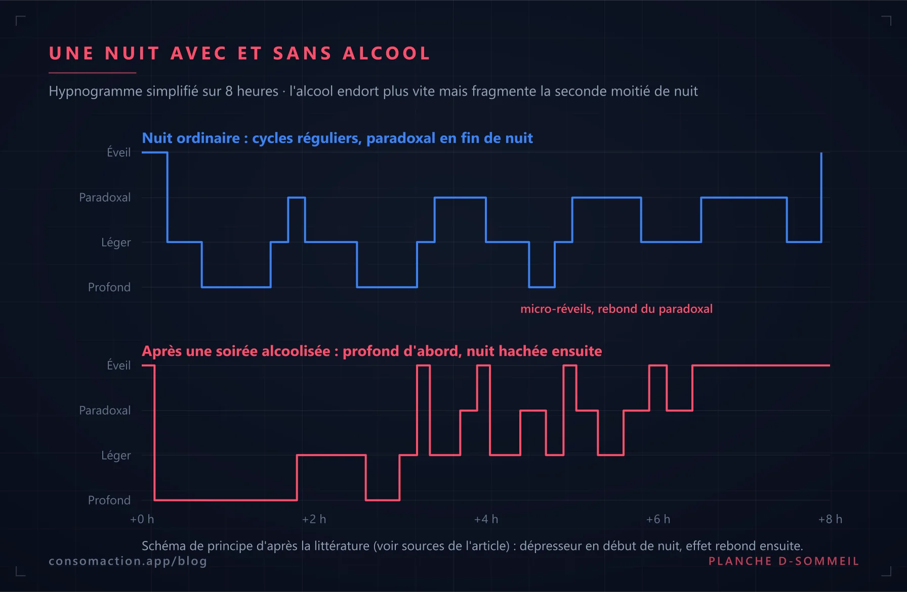Hypnogramme simplifié : nuit ordinaire aux cycles réguliers, contre nuit après alcool avec sommeil profond au début puis nuit fragmentée et réveil précoce