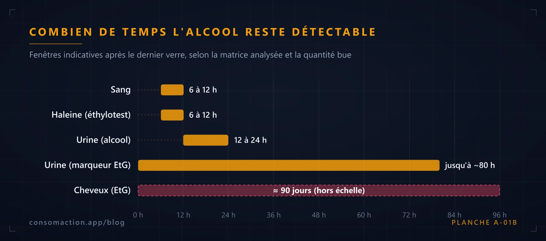Graphique : fenêtres de détection de l'alcool dans le sang, l'haleine, l'urine et les cheveux